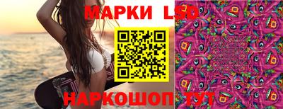 стаф Донецк