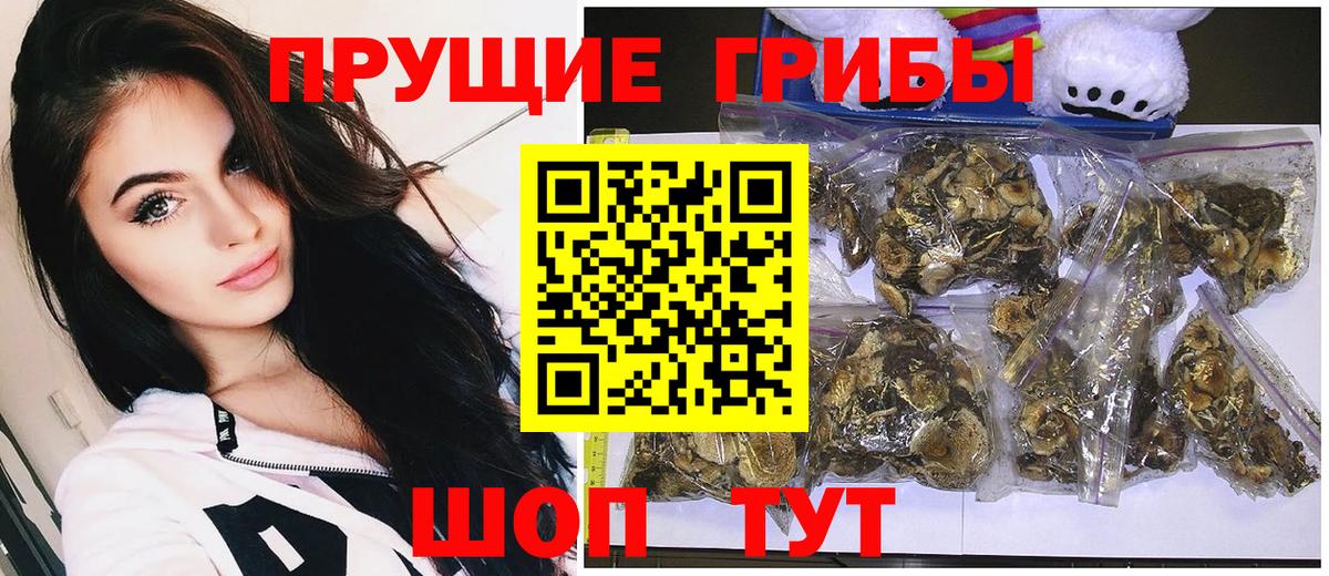 Псилоцибиновые грибы Magic Shrooms Мыски