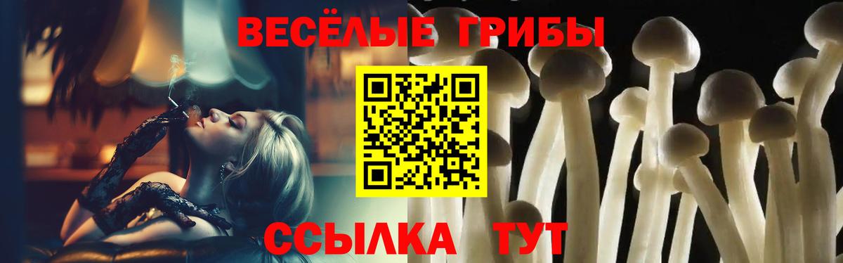 Галлюциногенные грибы Magic Shrooms  Галлюциногенные грибы GOLDEN TEACHER  Мыски  где купить   Вход с VPN 
